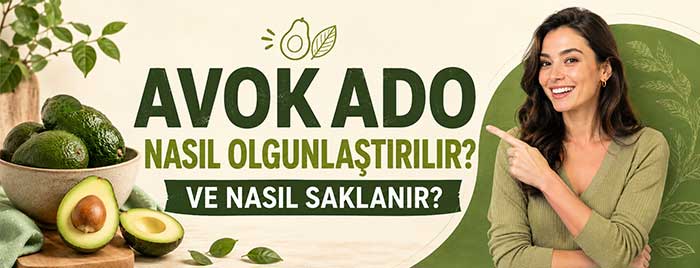 Avokado Nasıl Olgunlaştırılır ve Saklanır?