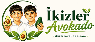 İkizler Avokado